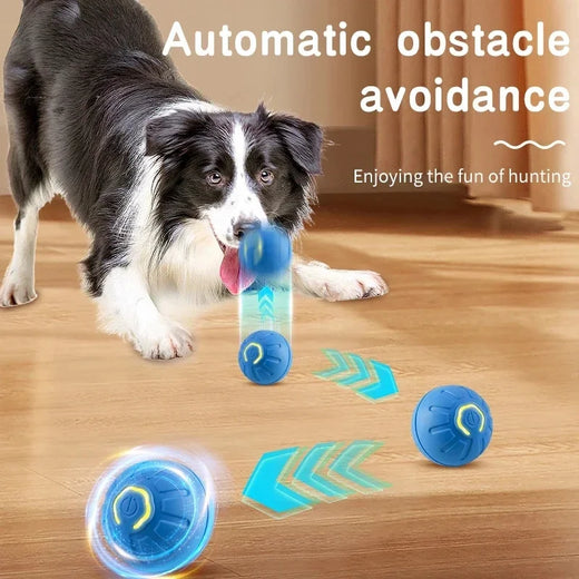 Interaktiver Spielball für Hunde – USB-aufladbar